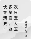 快穿清史：多爾袞，這次只寵大玉 封面