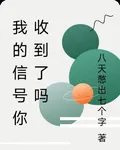我的信號你收到了嗎 封面
