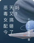 惡毒女配今天又搞砸了嗎？ 封面