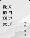 我的劍意，來自地球 封面