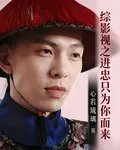 綜影視之進忠只爲你而來 封面