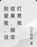 別愛我，沒結果，除非打賞我 封面