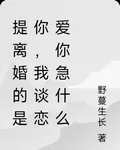 提離婚的是你，我談戀愛你急什麼 封面