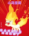 小馬寶莉什麼叫把小馬變成玩偶了 封面