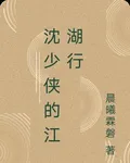 沈少俠的江湖行 封面