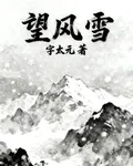 望風雪 封面