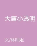 大唐小透明 封面
