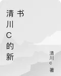 清川c的新書 封面
