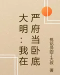 大明：我在嚴府當臥底 封面