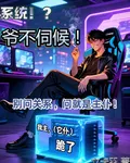 系統！？爺不伺候！ 封面