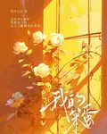 我的笨蛋 封面