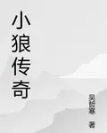 小狼傳奇 封面