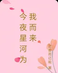 今夜星河爲我而來 封面