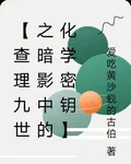 【查理九世之暗影中的化學密鑰】 封面