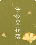 今夜又花落 封面