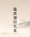猛虎潛行九關 封面