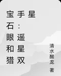 寶石眼和獵手：遙星雙星 封面