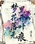 夢裏花開落葉無痕 封面
