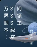 萬界副本：SSS級空間領主 封面