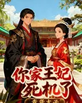 你家王妃死機了 封面