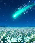 流星讚歌 封面