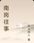 南崗往事 封面