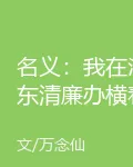 名義：我在漢東清廉辦橫着走 封面