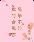 我的合規你高攀不起 封面