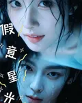 假意星光 封面
