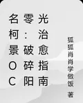 名柯景oc零：破碎陽光治癒指南 封面