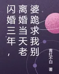 閃婚三年，離婚當天老婆跪求我別 封面