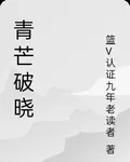 青芒破曉 封面