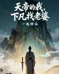 天帝的我，下凡找老婆 封面