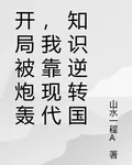 開局被炮轟，我靠現代知識逆轉國 封面