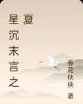 星沉末言之夏 封面