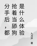 分手後，都搶着當舔狗是什麼體驗 封面