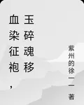 血染徵袍，玉碎魂移 封面