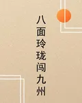 八面玲瓏闖九州 封面