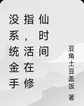 沒系統金手指，活在修仙時間 封面