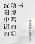 瀋陽中街的項驚鳴的新書 封面