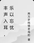 豐聲入耳，樂以忘憂 封面