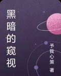 黑暗的窺視 封面