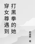 穿女尊遇到打黑拳的她 封面