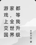 遊戲上交國家，全世界都等我升級 封面