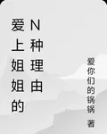 愛上姐姐的N種理由 封面