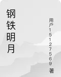 鋼鐵明月 封面