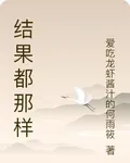 結果都那樣 封面