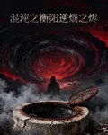 混沌之衡陽逆熵之燼 封面