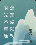 時光不重逢怎知愛如初 封面