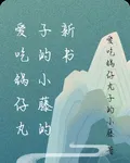 愛喫鍋仔丸子的小藤的新書 封面